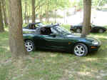 DSCF0020.jpg (93119 byte)