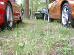 DSCF0029.jpg (103465 byte)