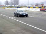 Varano_MX5rettil.jpg (39092 byte)